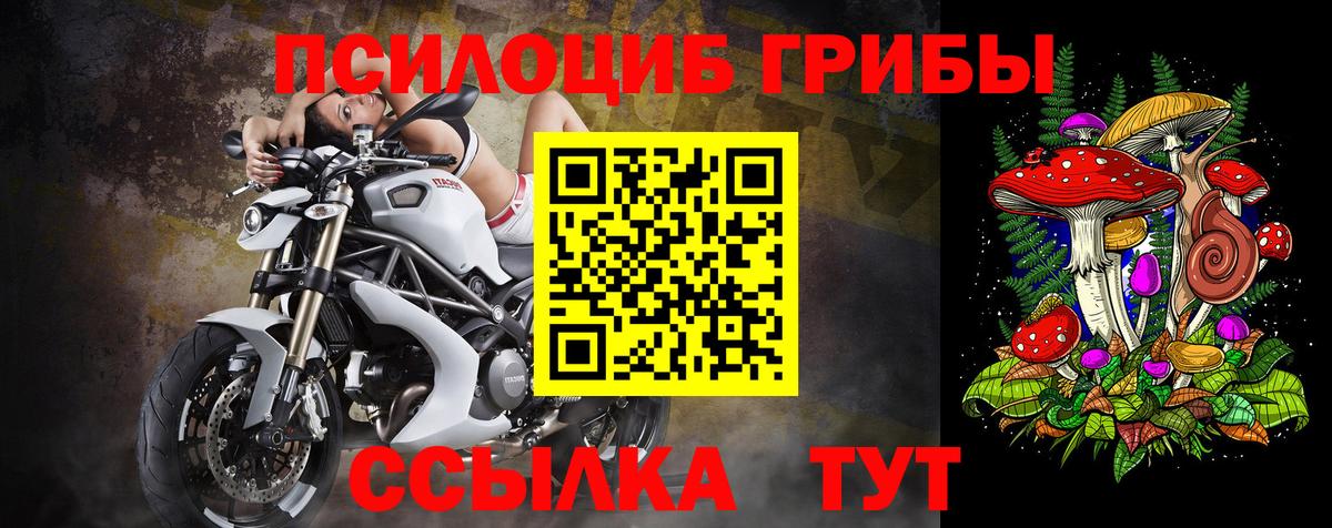 Псилоцибиновые грибы мицелий Пенза
